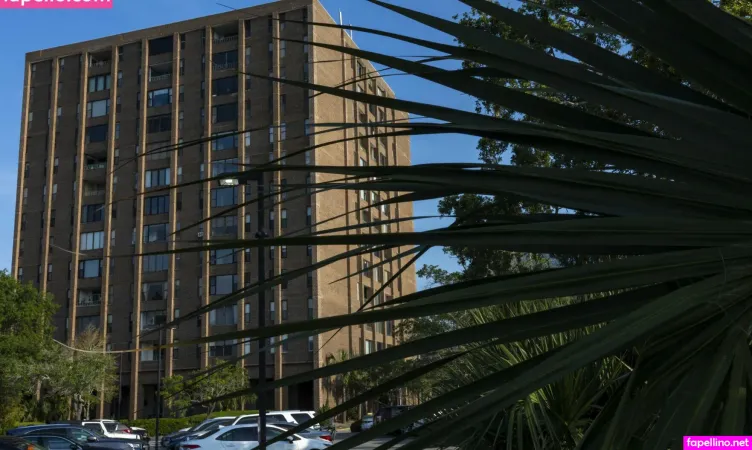 Die Anneliese Main Profile Photo