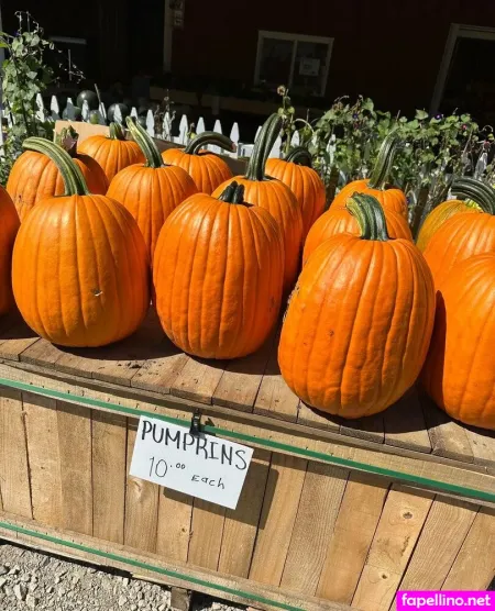 Dieselbabee35 OnlyFans Thumbnail #EQj0p4sejR