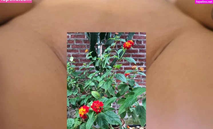 Dinafairycake OnlyFans Thumbnail #Cu3nPPr7vo