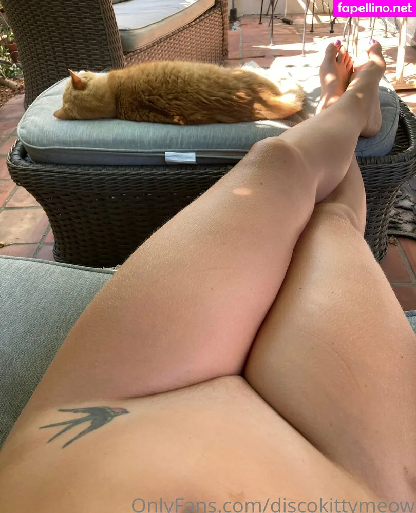 discokittymeow Nude Leaked OnlyFans Photo #ZkTp4aB9Iq