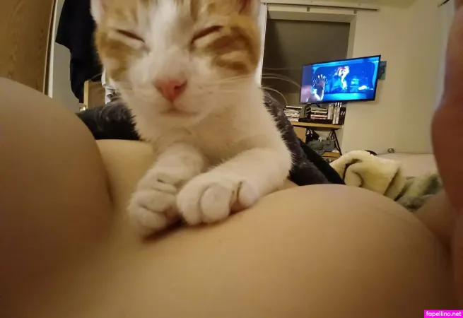 Divinepurgatory OnlyFans Thumbnail #MTvrqi9rWB