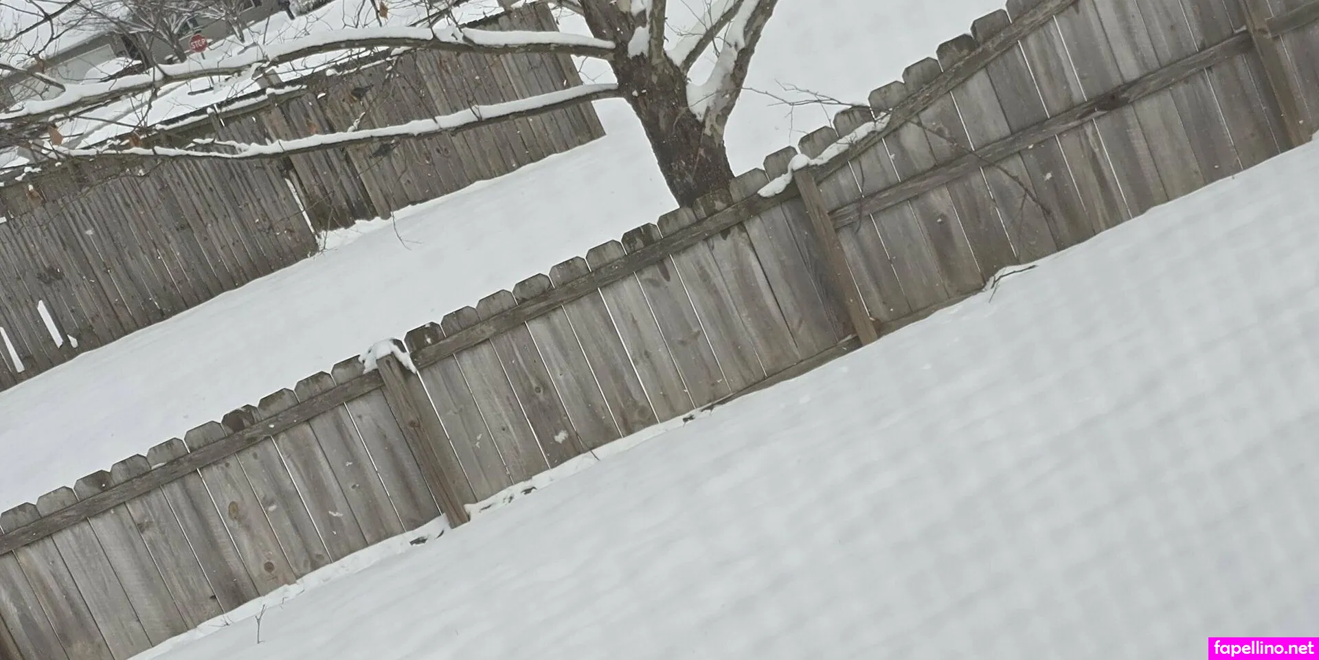 Dixi_101 Nude Leaked OnlyFans Photo #P9Fs8fljZS