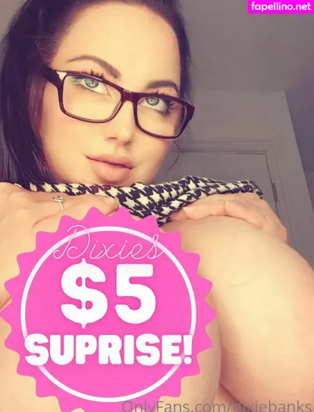 Dixiebanks OnlyFans Thumbnail #CNRM1g1ytf