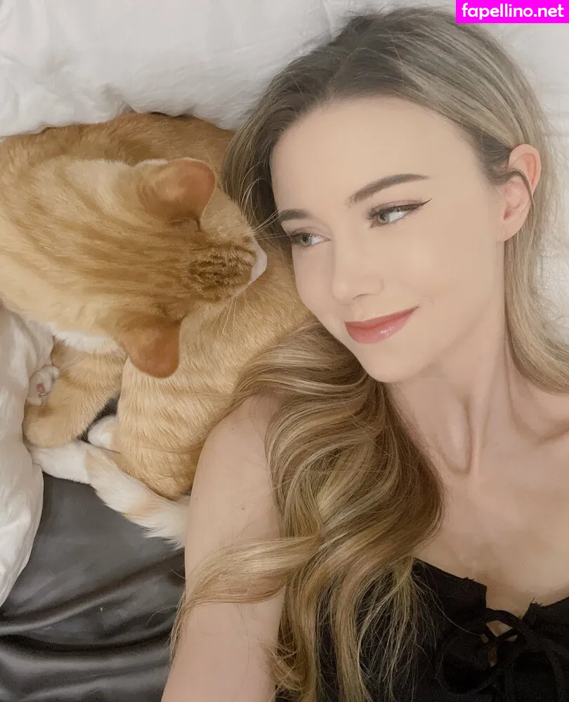 dizzykitten7, dizzykittenpaws, thedizzykitten Nude Leaked OnlyFans Photo #pC7Ek22s4h