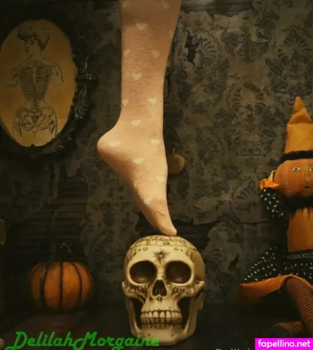 Dmorgaine Main Profile Photo