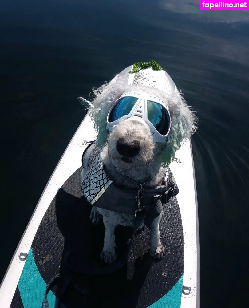 doitwithdaisy Nude Leaked OnlyFans Photo #NO8DOzFzNY