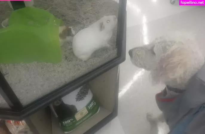 Doitwithdaisy OnlyFans Thumbnail #hoeg7IZoU3