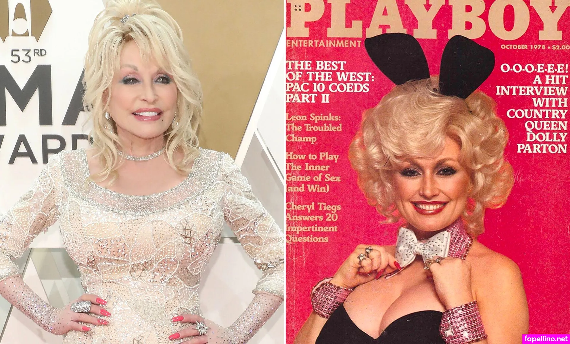 Dolly Parton Nude Leaked OnlyFans Photo #IF5r4rBFQF