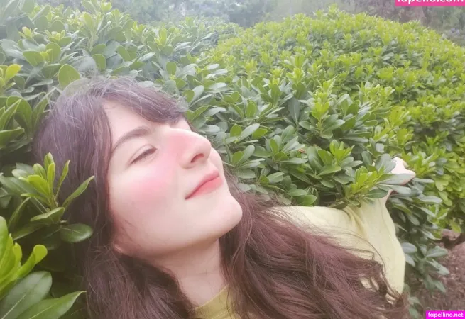 Domidrain Main Profile Photo