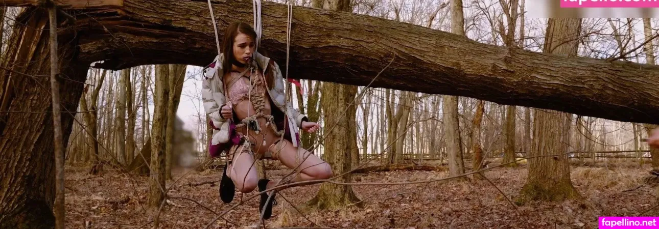 Domthenation OnlyFans Thumbnail #ecbttLMoN1