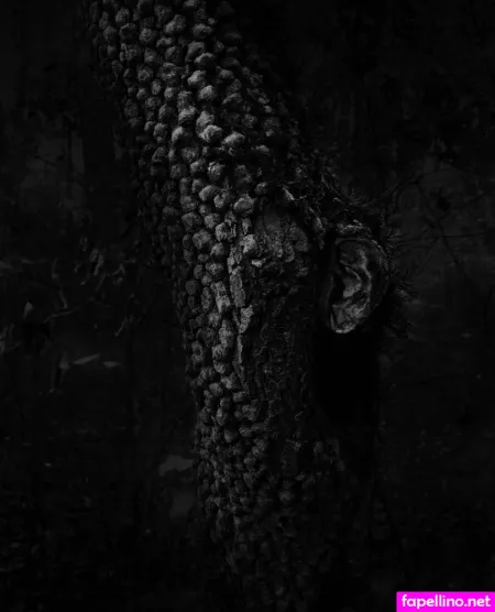 Donnagarcia OnlyFans Thumbnail #RkPpMgLDca