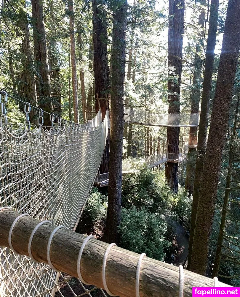 dptvtravel Nude Leaked OnlyFans Photo #bjfwVYPFDq