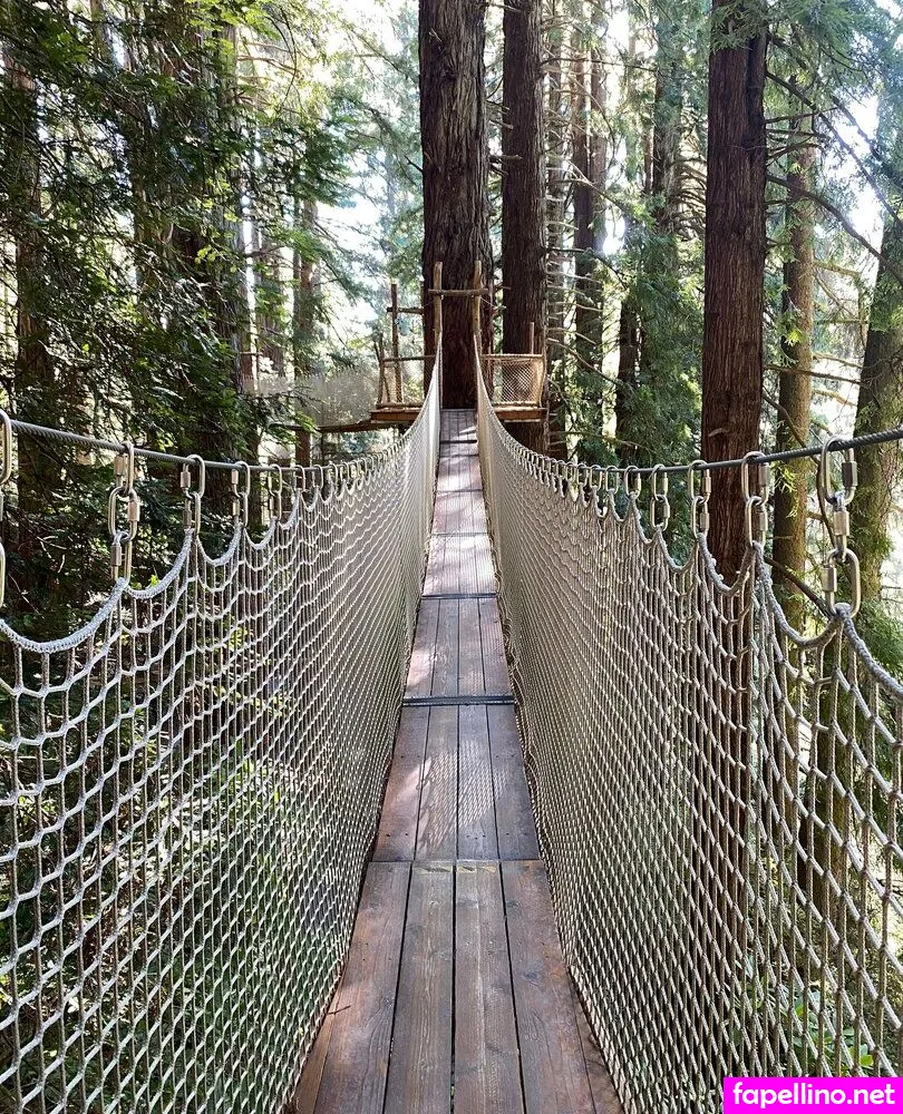 dptvtravel Nude Leaked OnlyFans Photo #drCC0g1DRT