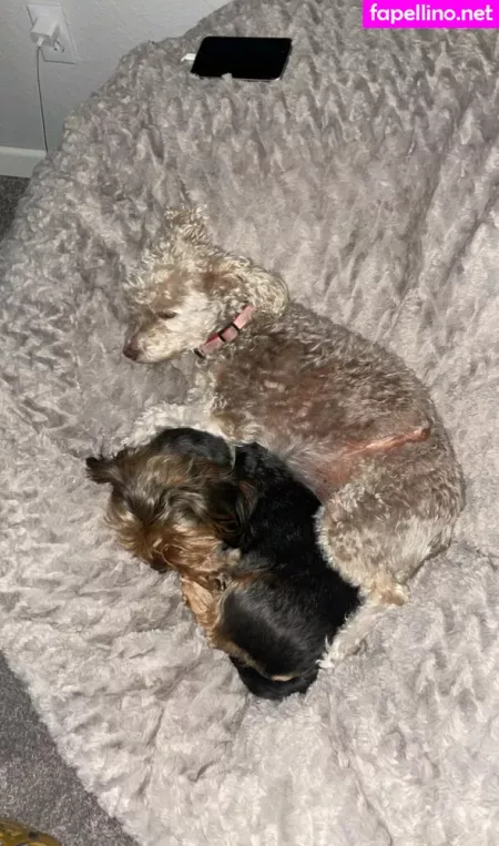 Dramamamaasmr OnlyFans Thumbnail #hI3J41Dbfn