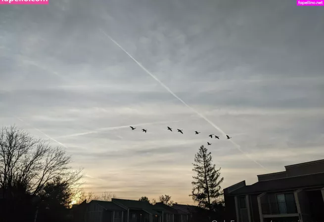 Dream Candy OnlyFans Thumbnail #UfUbs0NDKB