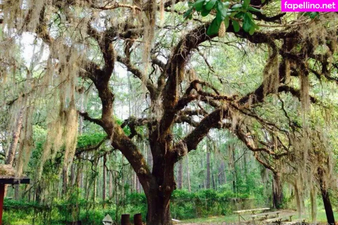 Dream Candy OnlyFans Thumbnail #YslszC1RKC