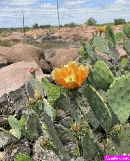 Dreamer31 OnlyFans Thumbnail #XqNs0RQ4R7