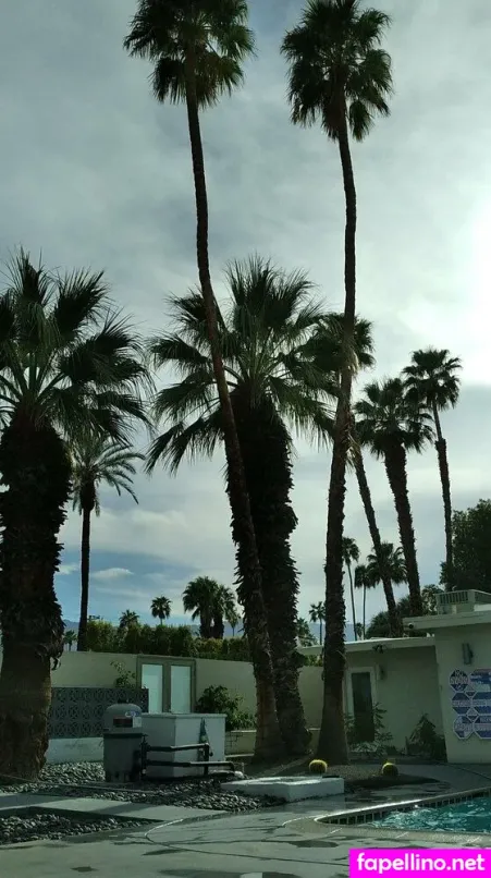 Dreamer31 OnlyFans Thumbnail #vu98WZ4L76