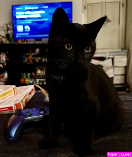 Dreamvtuber OnlyFans Thumbnail #1RmKRDgota