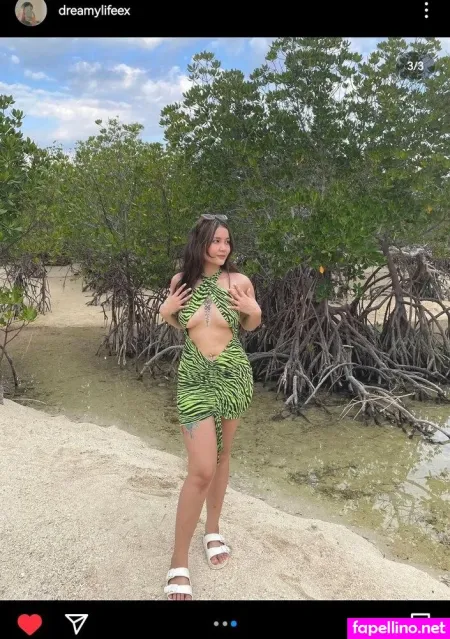 Dreamylifeex Main Profile Photo