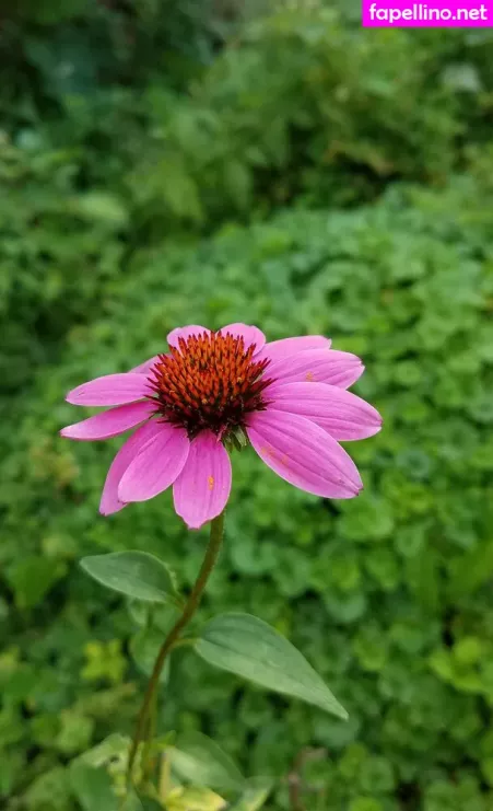 Driftinggem OnlyFans Thumbnail #41PSxVjEEf