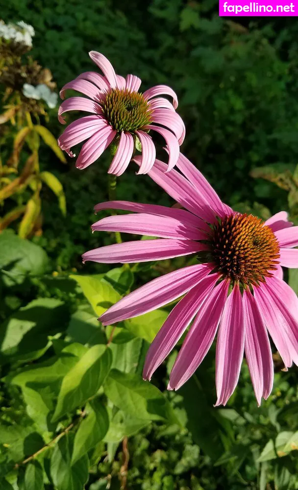 driftinggem Nude Leaked OnlyFans Photo #B6GSFHxqhB