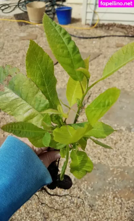 Driftinggem OnlyFans Thumbnail #TO7qdEmewK