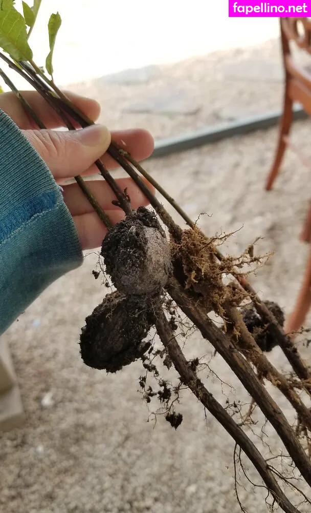 driftinggem Nude Leaked OnlyFans Photo #WMlBXO9hkI