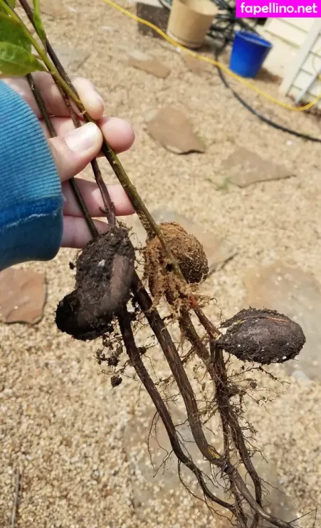 Driftinggem OnlyFans Thumbnail #XwUNhAYMd5