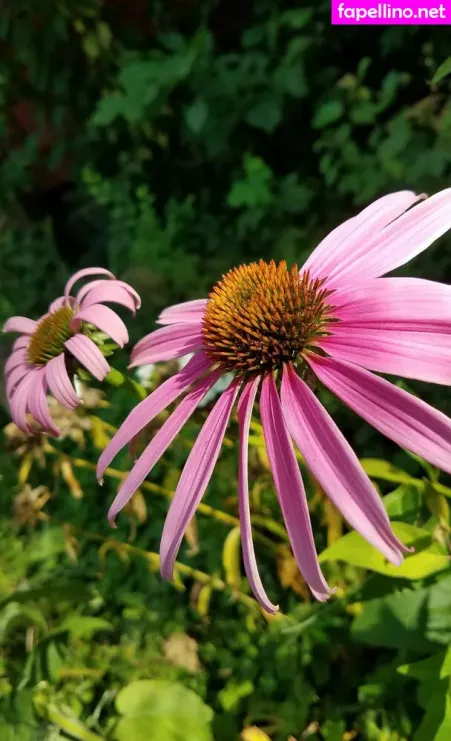 Driftinggem OnlyFans Thumbnail #Xz9cE99fb0