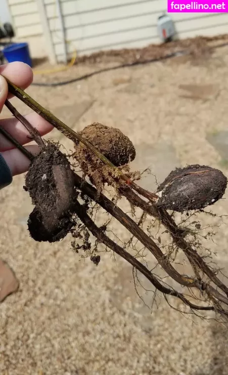 Driftinggem OnlyFans Thumbnail #woAencyfLP