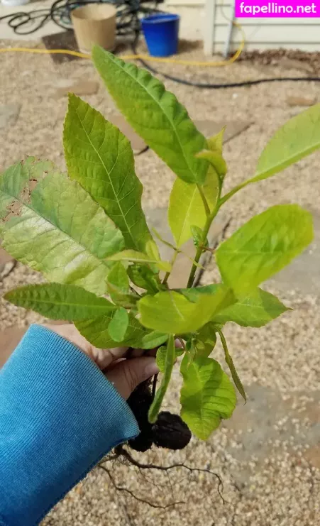 Driftinggem OnlyFans Thumbnail #ylPU6kJDo3