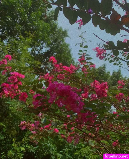 Dropofhoney OnlyFans Thumbnail #KjP9InQ8IT