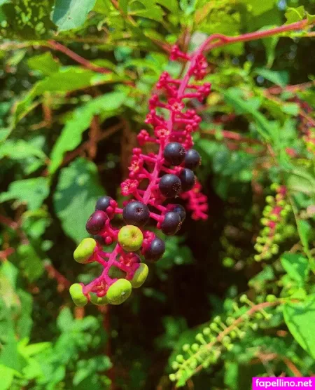 Dropofhoney OnlyFans Thumbnail #Yz8alXEHQA