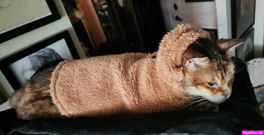 Drvenusdrmars OnlyFans Thumbnail #wXNIgXlf8B