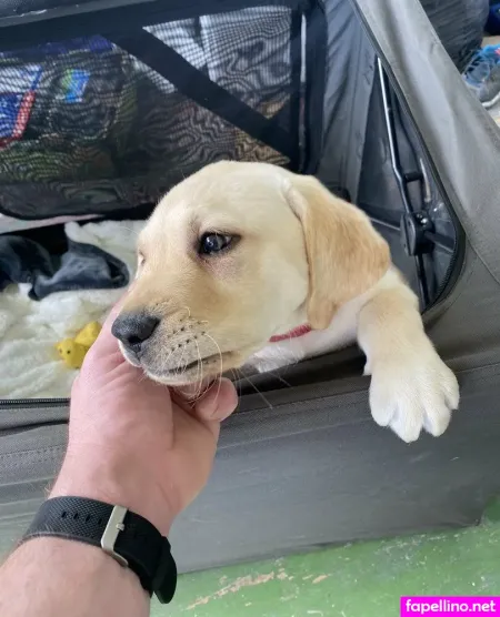 Dustin Fit Ish OnlyFans Thumbnail #EwnfHIo5sg