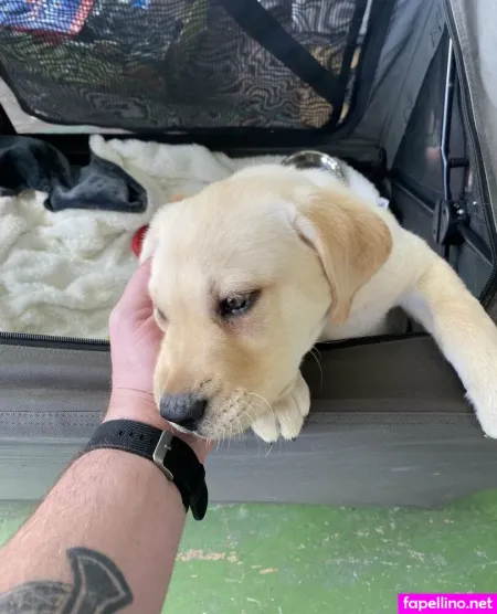 Dustin Fit Ish OnlyFans Thumbnail #H7unhJO7uS