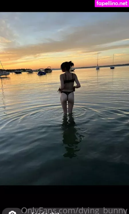 Dying Bunny OnlyFans Thumbnail #SQ1W6kc7wz