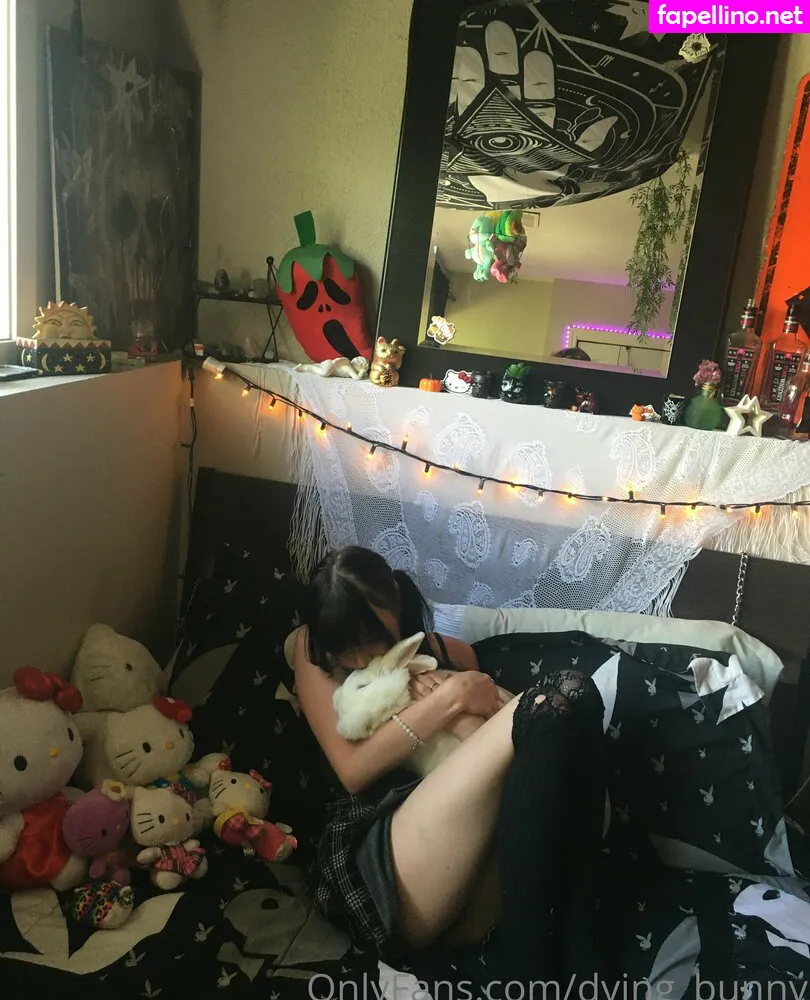 DyingBunny666, dying_bunny Nude Leaked OnlyFans Photo #fUPVMhAGd0