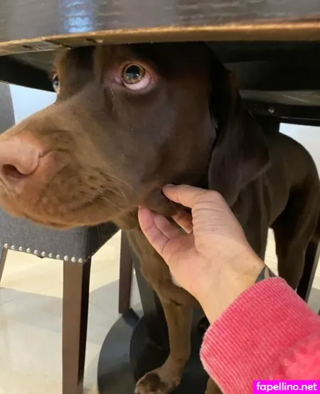 Dylanjamesxo OnlyFans Thumbnail #3yoztO2H4h