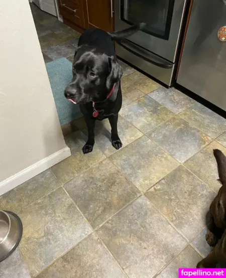 Dylanjamesxo OnlyFans Thumbnail #HzNCfdtkjf