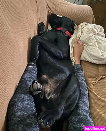 Dylanjamesxo OnlyFans Thumbnail #Mo0JrgCJ64