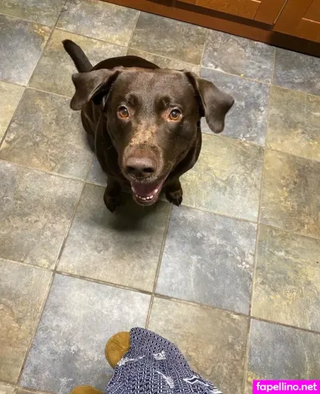 Dylanjamesxo OnlyFans Thumbnail #g4YIK7npBH