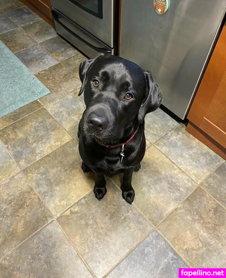 djamesxo, dylanjamesxo Nude Leaked OnlyFans Photo #j44pH53sad