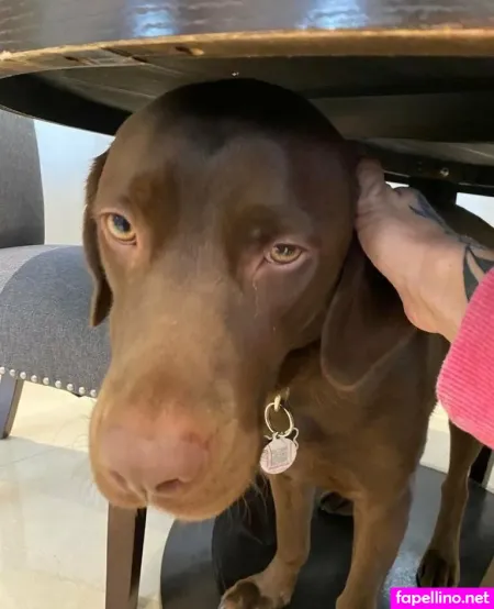 Dylanjamesxo OnlyFans Thumbnail #r1PVYsyFdf