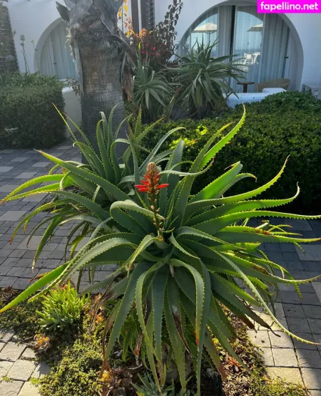 Earthlyalien OnlyFans Thumbnail #4rKrvG3I2A