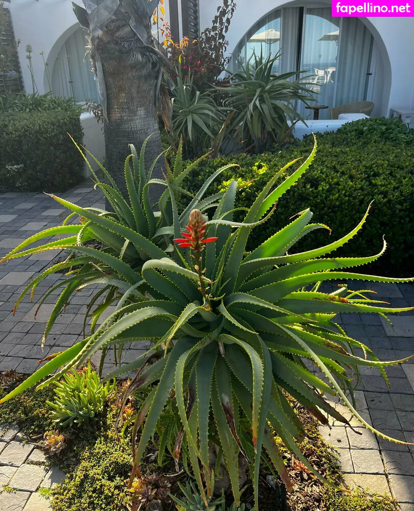 _earthlyalien_, earthlyalien Nude Leaked OnlyFans Photo #4rKrvG3I2A