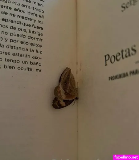 Ecstasy OnlyFans Thumbnail #1XXm4x6Okx