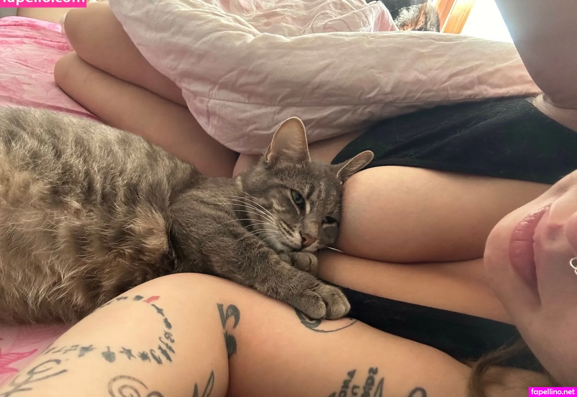 anarchocat_, egemnurv_ Nude Leaked OnlyFans Photo #6N0MvzYIpn