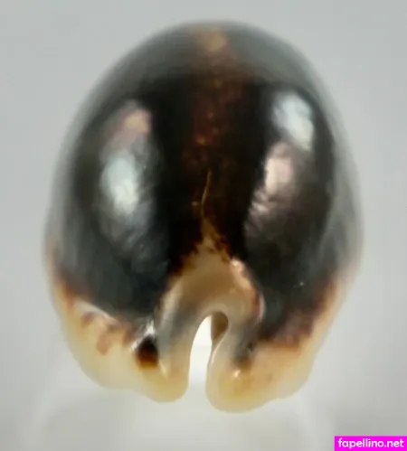 Eglantina OnlyFans Thumbnail #TwG9Bs5B2c